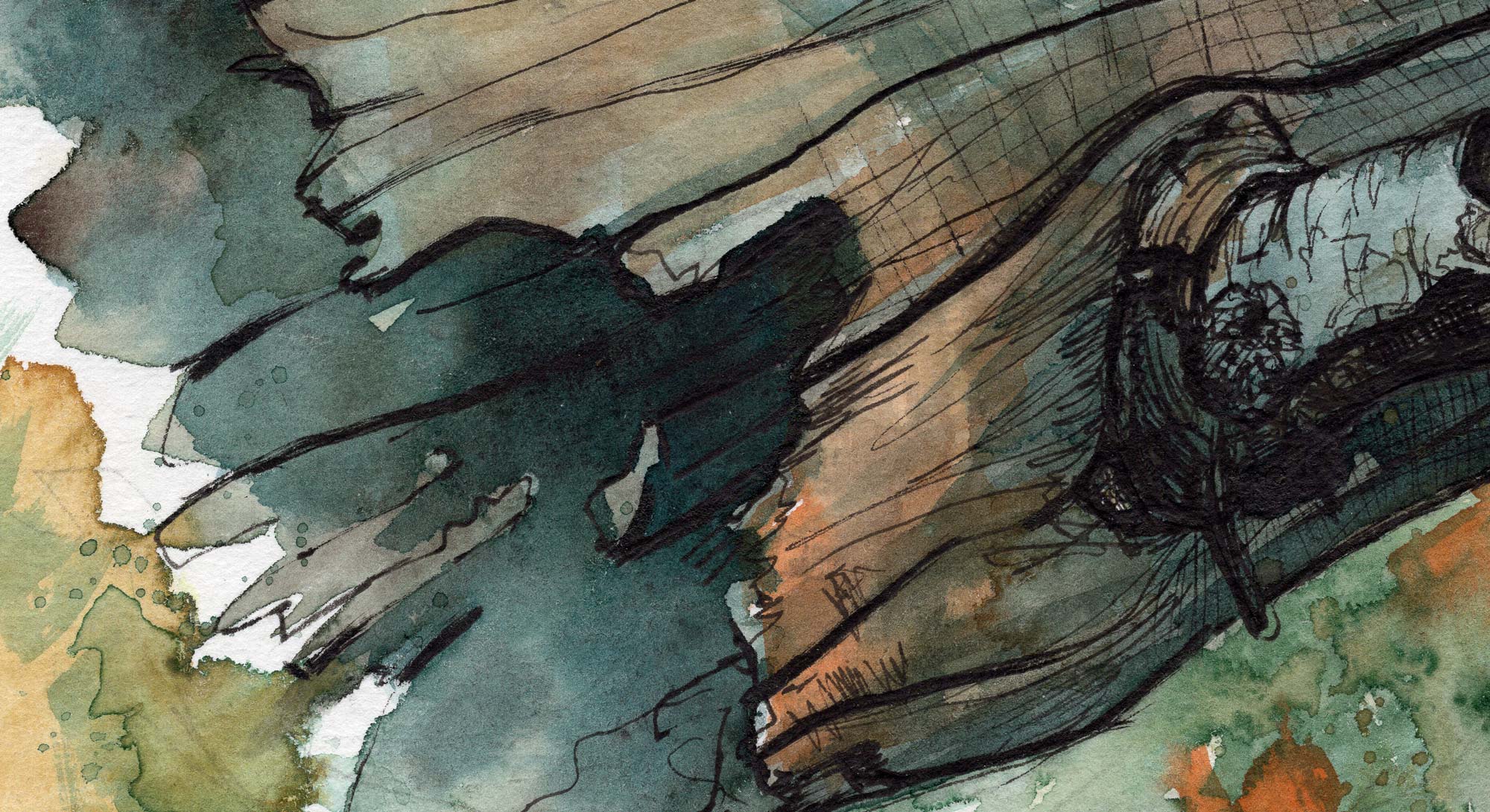 natur_landschaft_stillleben_harz_fichten_aquarell_detail