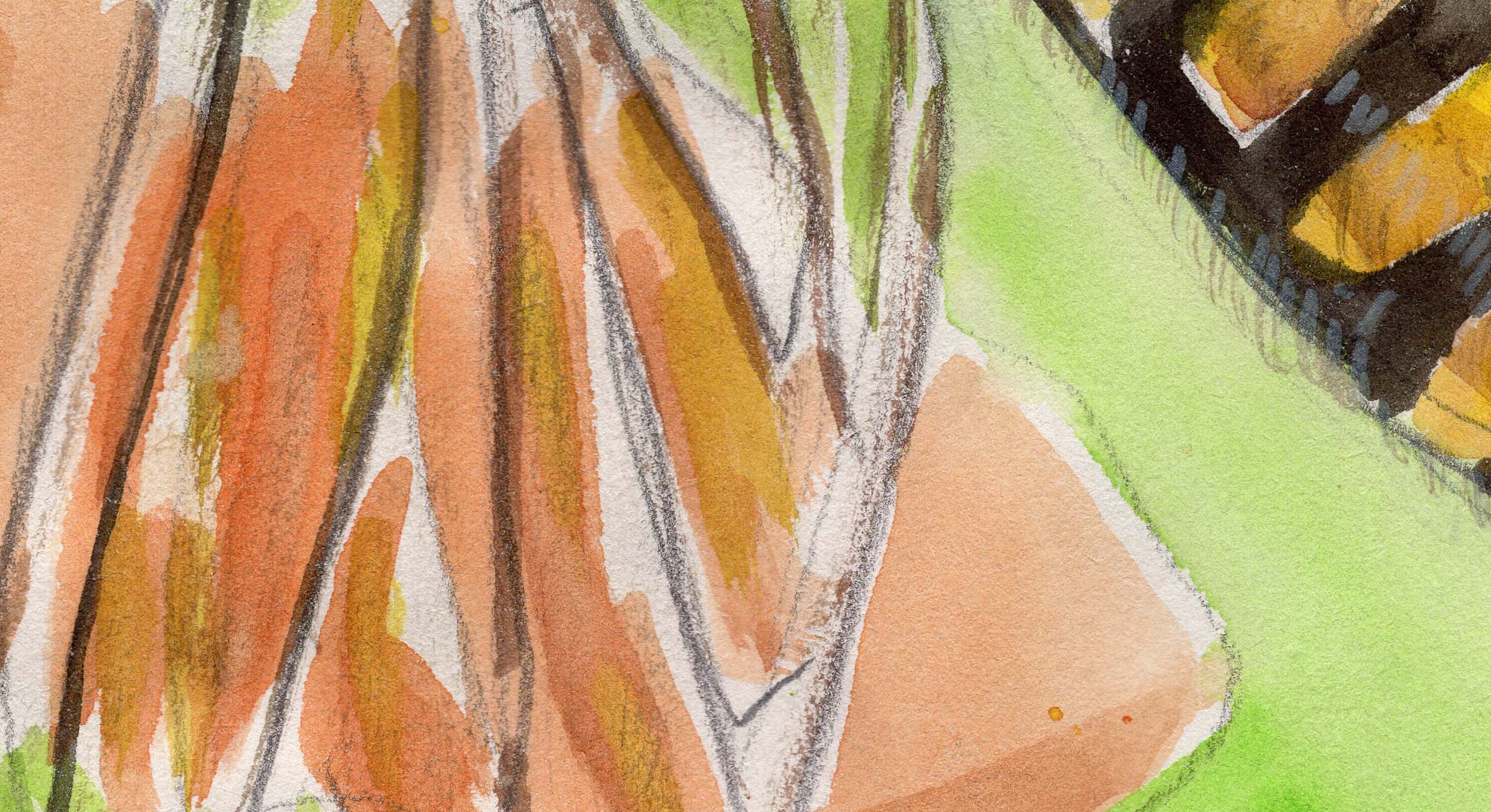 schwebfliege_aquarell_illustration_detail_2